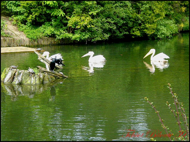 Image hébergée par Casimages.com : votre hébergeur d images simple et gratuit