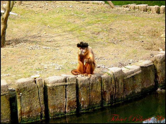 Image hébergée par Casimages.com : votre hébergeur d images simple et gratuit