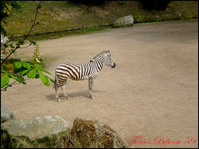 Image hébergée par Casimages.com : votre hébergeur d images simple et gratuit