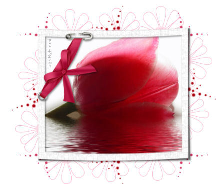 Image hébergée par Casimages.com : votre hébergeur d images simple et gratuit