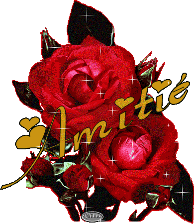 Image hébergée par Casimages.com : votre hébergeur d images simple et gratuit