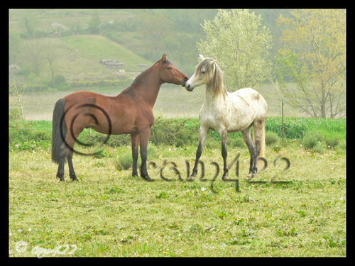 Image h�berg�e par Casimages.com : votre h�bergeur d images simple et gratuit