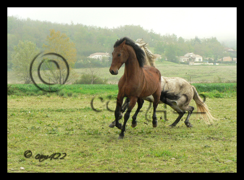 Image h�berg�e par Casimages.com : votre h�bergeur d images simple et gratuit