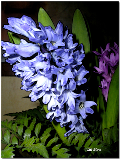 Image hébergée par Casimages.com : votre hébergeur d images simple et gratuit
