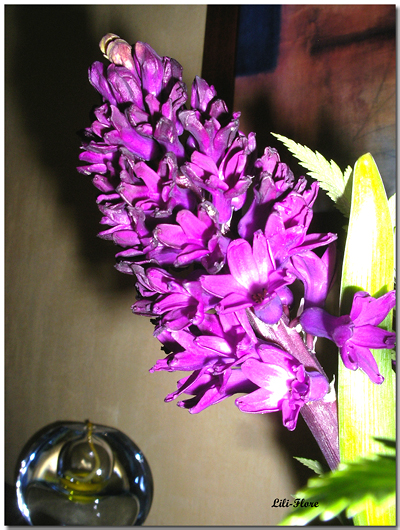 Image hébergée par Casimages.com : votre hébergeur d images simple et gratuit