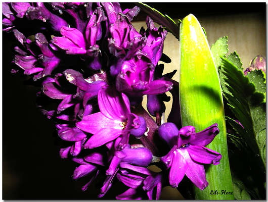 Image hébergée par Casimages.com : votre hébergeur d images simple et gratuit