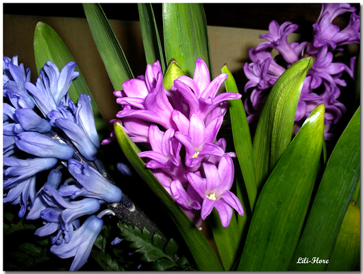 Image hébergée par Casimages.com : votre hébergeur d images simple et gratuit