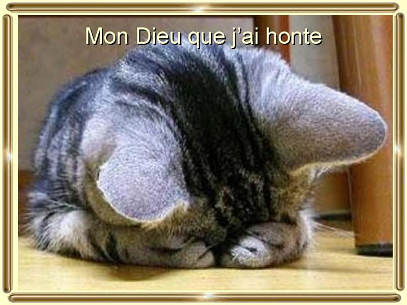 Image hébergée par Casimages.com : votre hébergeur d images simple et gratuit