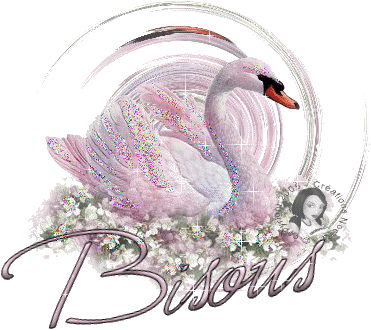 Image hébergée par Casimages.com : votre hébergeur d images simple et gratuit