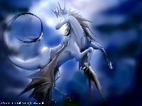 Hebergement gratuit d image et photo