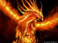 Hebergement gratuit d image et photo