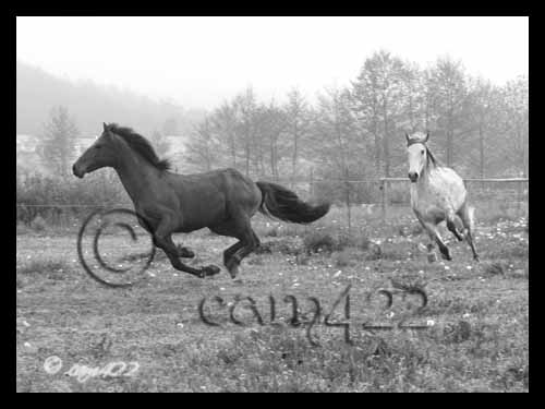Image h�berg�e par Casimages.com : votre h�bergeur d images simple et gratuit