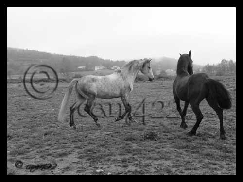 Image h�berg�e par Casimages.com : votre h�bergeur d images simple et gratuit