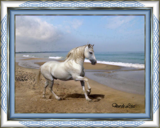 Image hébergée par Casimages.com : votre hébergeur d images simple et gratuit