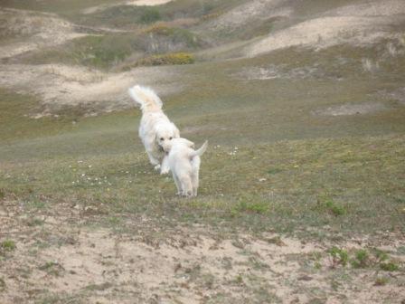 Image h�berg�e par Casimages.com : votre h�bergeur d images simple et gratuit
