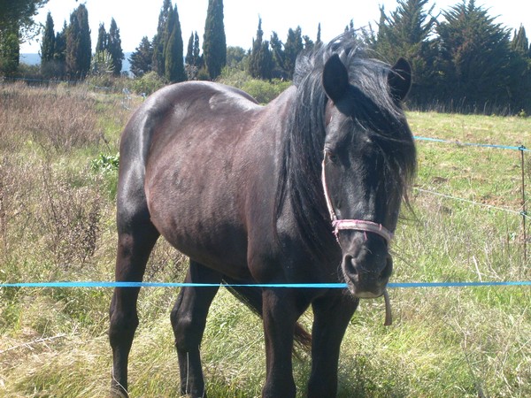 Image hébergée par Casimages.com : votre hébergeur d images simple et gratuit