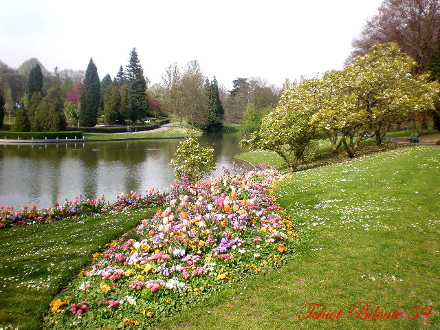 Image hébergée par Casimages.com : votre hébergeur d images simple et gratuit