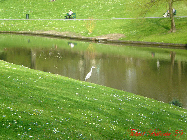 Image hébergée par Casimages.com : votre hébergeur d images simple et gratuit