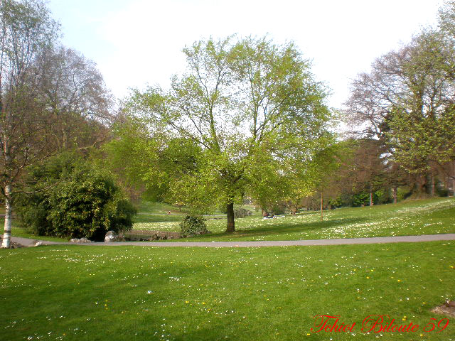 Image hébergée par Casimages.com : votre hébergeur d images simple et gratuit