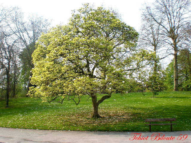 Image hébergée par Casimages.com : votre hébergeur d images simple et gratuit