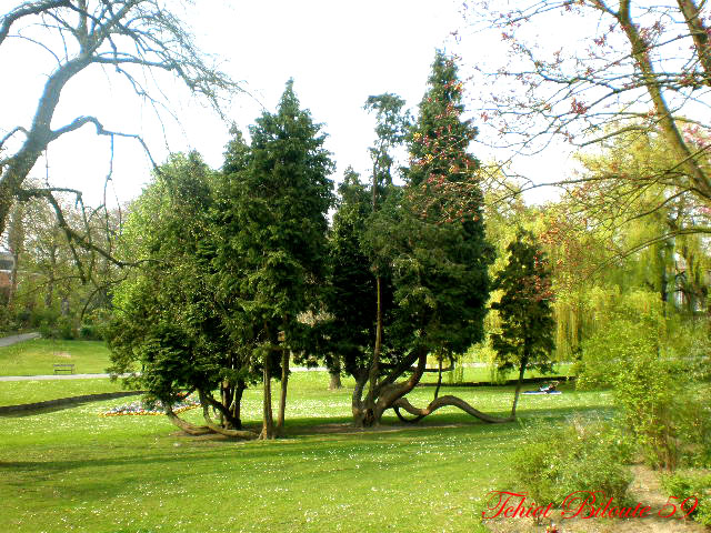 Image hébergée par Casimages.com : votre hébergeur d images simple et gratuit