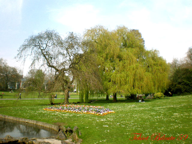 Image hébergée par Casimages.com : votre hébergeur d images simple et gratuit