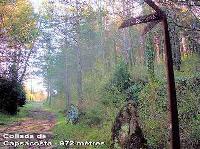 VTT BTT Capsacosta : premier col sur voie romaine