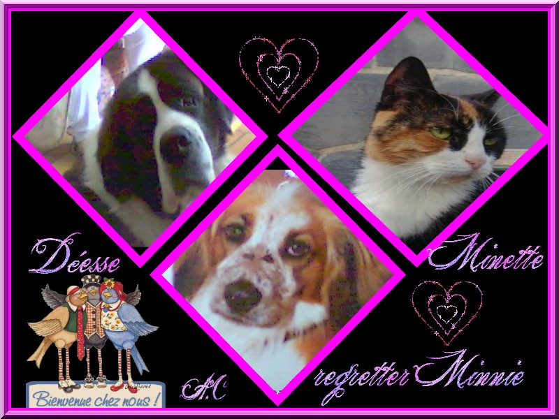 Image h�berg�e par Casimages.com : votre h�bergeur d images simple et gratuit