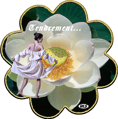 Image hébergée par Casimages.com : votre hébergeur d images simple et gratuit
