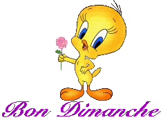 Image hébergée par Casimages.com : votre hébergeur d images simple et gratuit