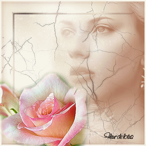 Image hébergée par Casimages.com : votre hébergeur d images simple et gratuit