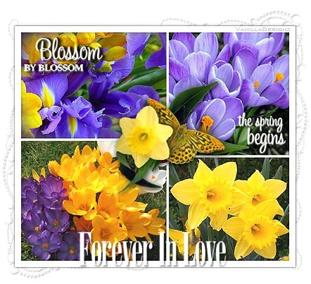 Image hébergée par Casimages.com : votre hébergeur d images simple et gratuit