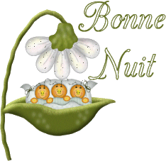 Image hébergée par Casimages.com : votre hébergeur d images simple et gratuit