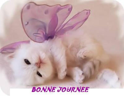 Image hébergée par Casimages.com : votre hébergeur d images simple et gratuit