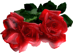 Image hébergée par Casimages.com : votre hébergeur d images simple et gratuit