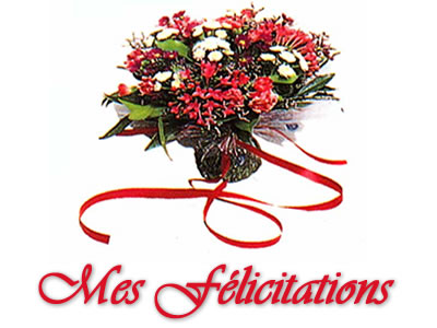 http://nsm01.casimages.com/img/2008/04/30//080430050623131522010504.jpg