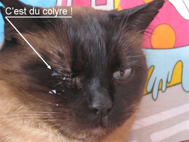 Image hébergée par Casimages.com : votre hébergeur d images simple et gratuit