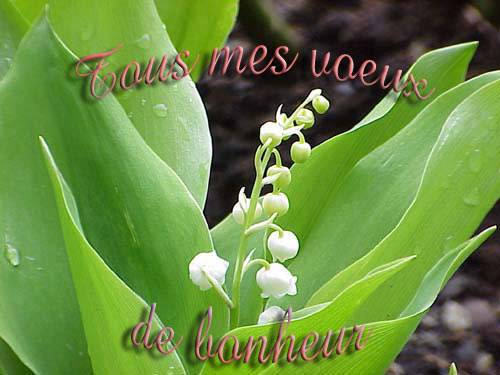 Image hébergée par Casimages.com : votre hébergeur d images simple et gratuit