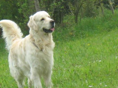 Image h�berg�e par Casimages.com : votre h�bergeur d images simple et gratuit
