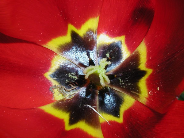 Image hébergée par Casimages.com : votre hébergeur d images simple et gratuit