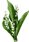 Image h�berg�e par Casimages.com : votre h�bergeur d images simple et gratuit
