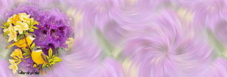 Image hébergée par Casimages.com : votre hébergeur d images simple et gratuit