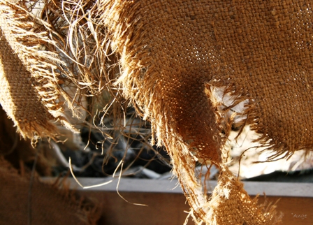 Image hébergée par Casimages.com : votre hébergeur d images simple et gratuit