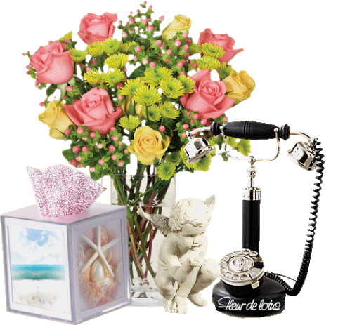 Image hébergée par Casimages.com : votre hébergeur d images simple et gratuit