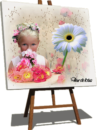 Image hébergée par Casimages.com : votre hébergeur d images simple et gratuit