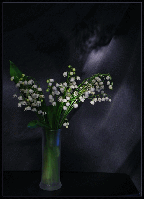 Image hébergée par Casimages.com : votre hébergeur d images simple et gratuit