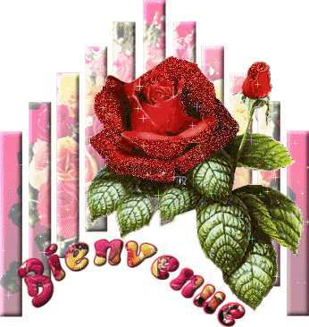 Image h�berg�e par Casimages.com : votre h�bergeur d images simple et gratuit
