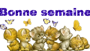 Image hébergée par Casimages.com : votre hébergeur d images simple et gratuit