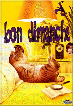 Image h�berg�e par Casimages.com : votre h�bergeur d images simple et gratuit