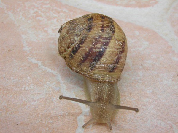 Image hébergée par Casimages.com : votre hébergeur d images simple et gratuit